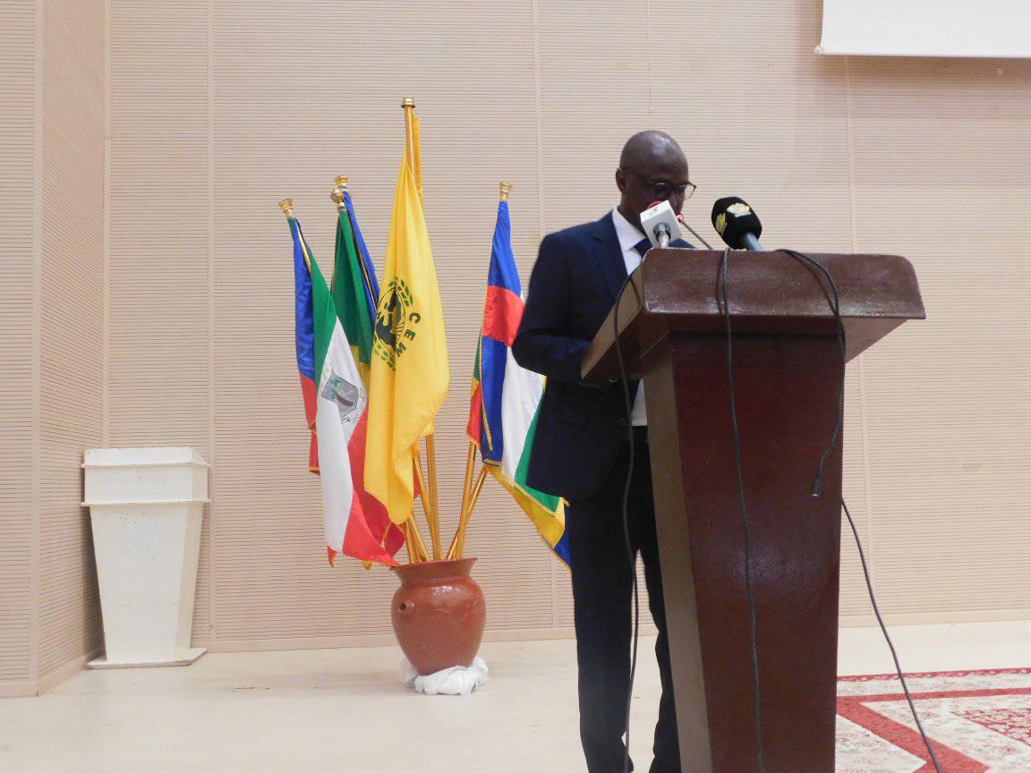 CEMAC : la 9e session ordinaire de la CRUROR- AC 2023 en cours au Tchad