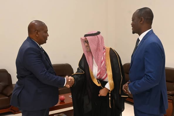 Le Conseil Supérieur de l’Economie Arabo Africaine souhaite investir en République Centrafricaine
