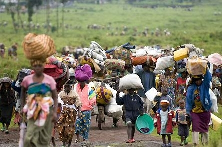 Réfugiés centrafricains au Congo : vivre et résister après l’arrêt de l’assistance
