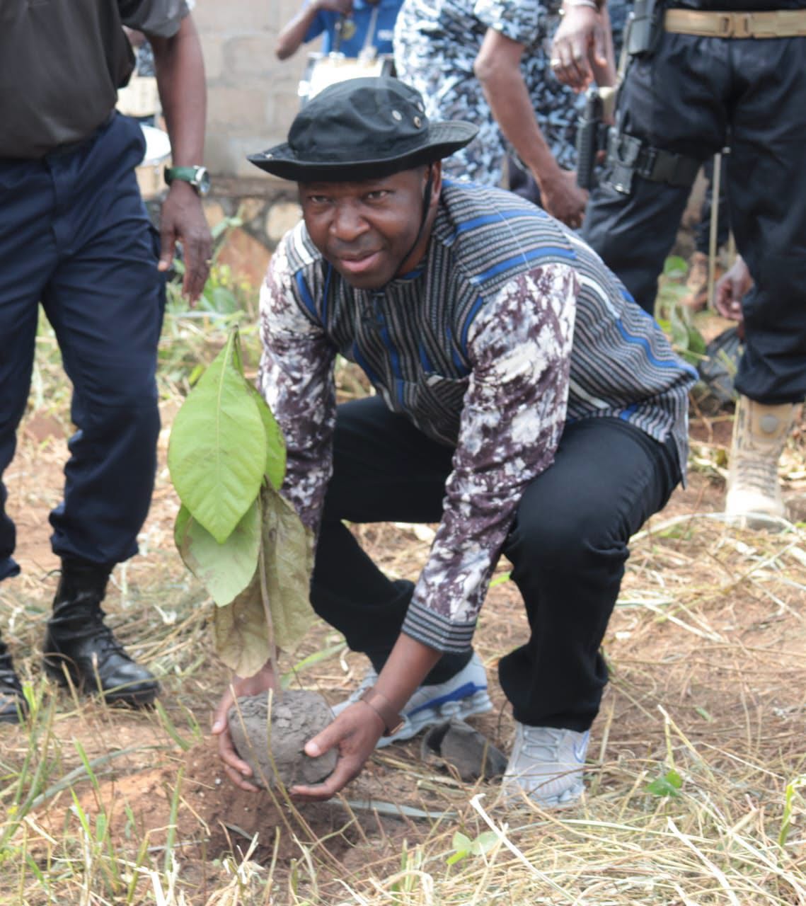 RCA : À Bangui, 50 hectares pour restaurer le couvert végétal