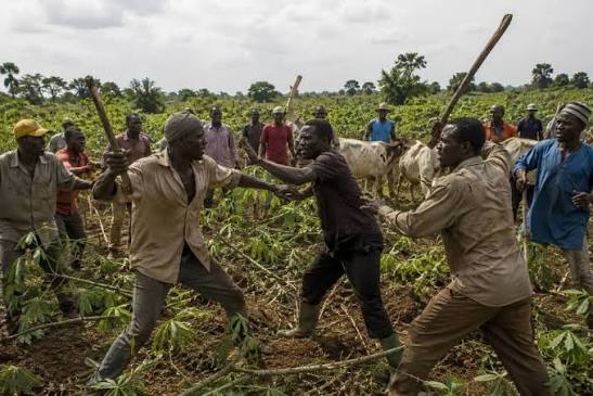 RCA : cinq morts dans des affrontements entre agriculteurs et éleveurs à Batangafo