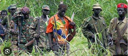 RCA : huit civils libérés après une opération contre la LRA